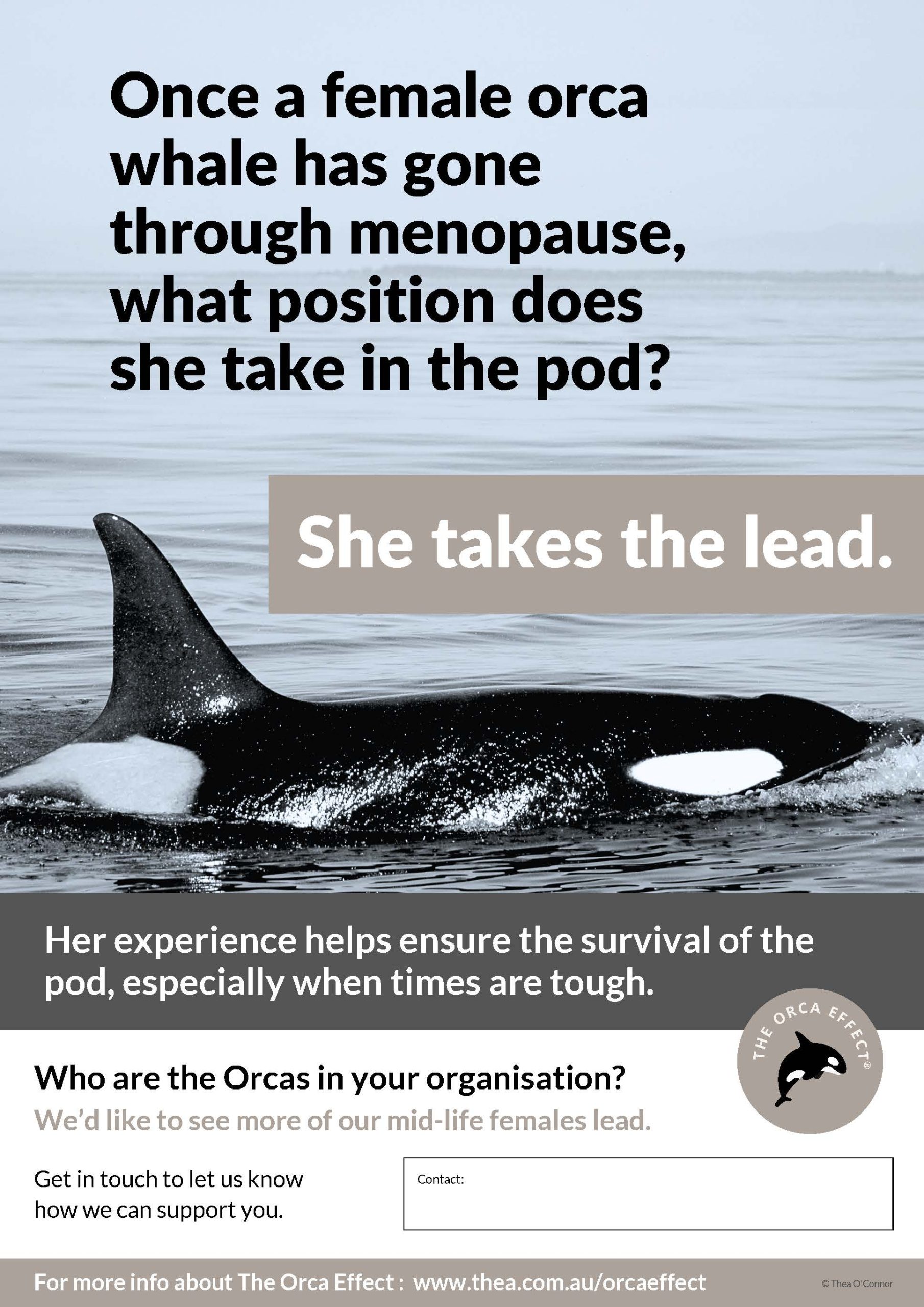 Menopause Poster Set - Image 2